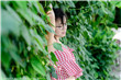 萨利机长电影在线观看免费
