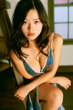 洪拳与咏春