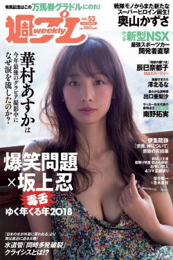 兰桐花开电视剧全集播放