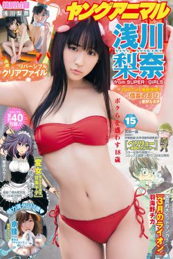 幻想三国志四外传