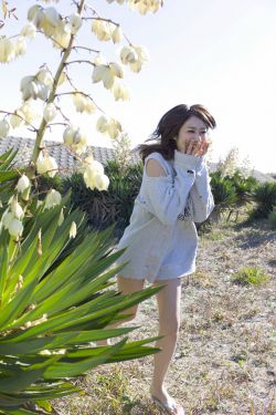 陈式太极拳视频下载
