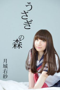 逐鹿大宋