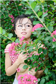 电视剧楚汉传奇